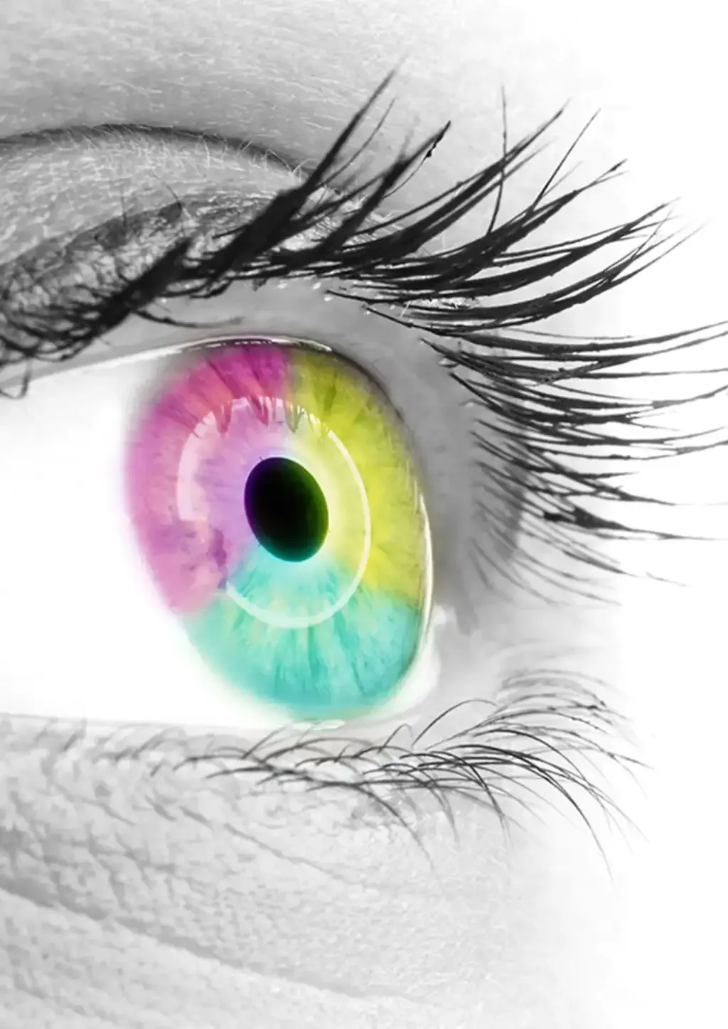 Gros plan artistique sur un œil à l’iris multicolore.